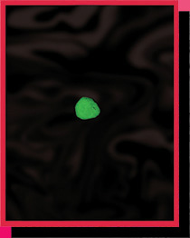 speck