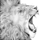 images/avatars/avatar-430.gif